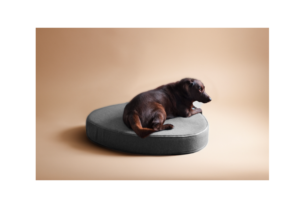 Trois conseils pour un chien heureux grâce au mobilier de luxe Bogarel pour animaux de compagnie